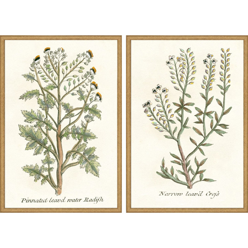 Botanical Plants II Set by Giclee Studio