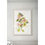 Dog Roses 1 Print-967280520