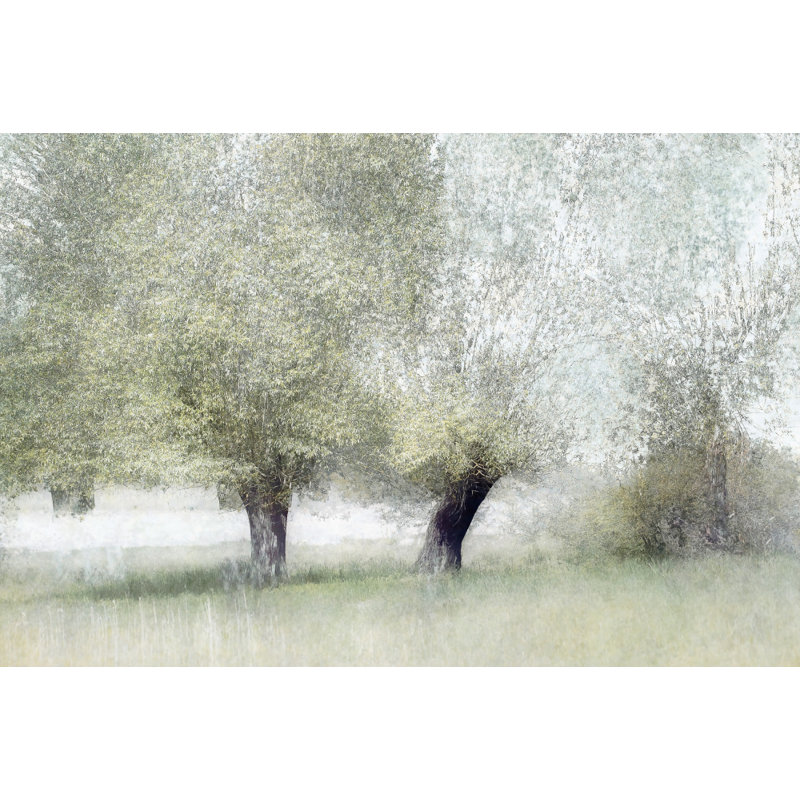 Wrapped Canvas Print, 60.96 cm H x 91.44 cm W