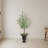 Eucalyptus Artificial Tree in Charcoal Urn