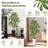 6FT Artificial Dracaena Tree in Black Planter, Real Touch Faux Indoor Plant for Home Office Decor, Low Maintenance Silk Tree-1070471546-1070471525