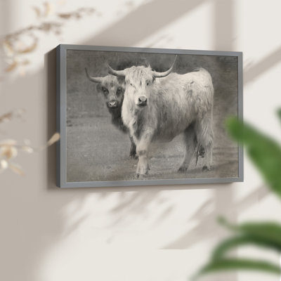 Highland Cattle Inseparable -Framed Print - Restickable