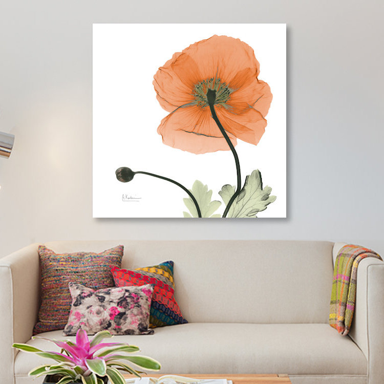 «Islande coquelicot», impression sur toile, H 26 po x l 26 po x P 1,5 po, Toile tendue, Pas de tapis