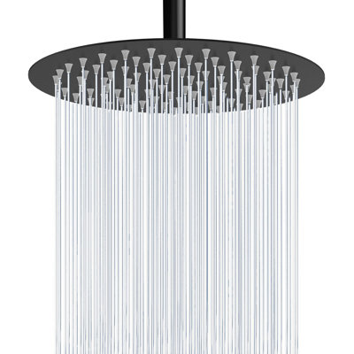 1 Rain Shower Head 2.5 GPM GPM