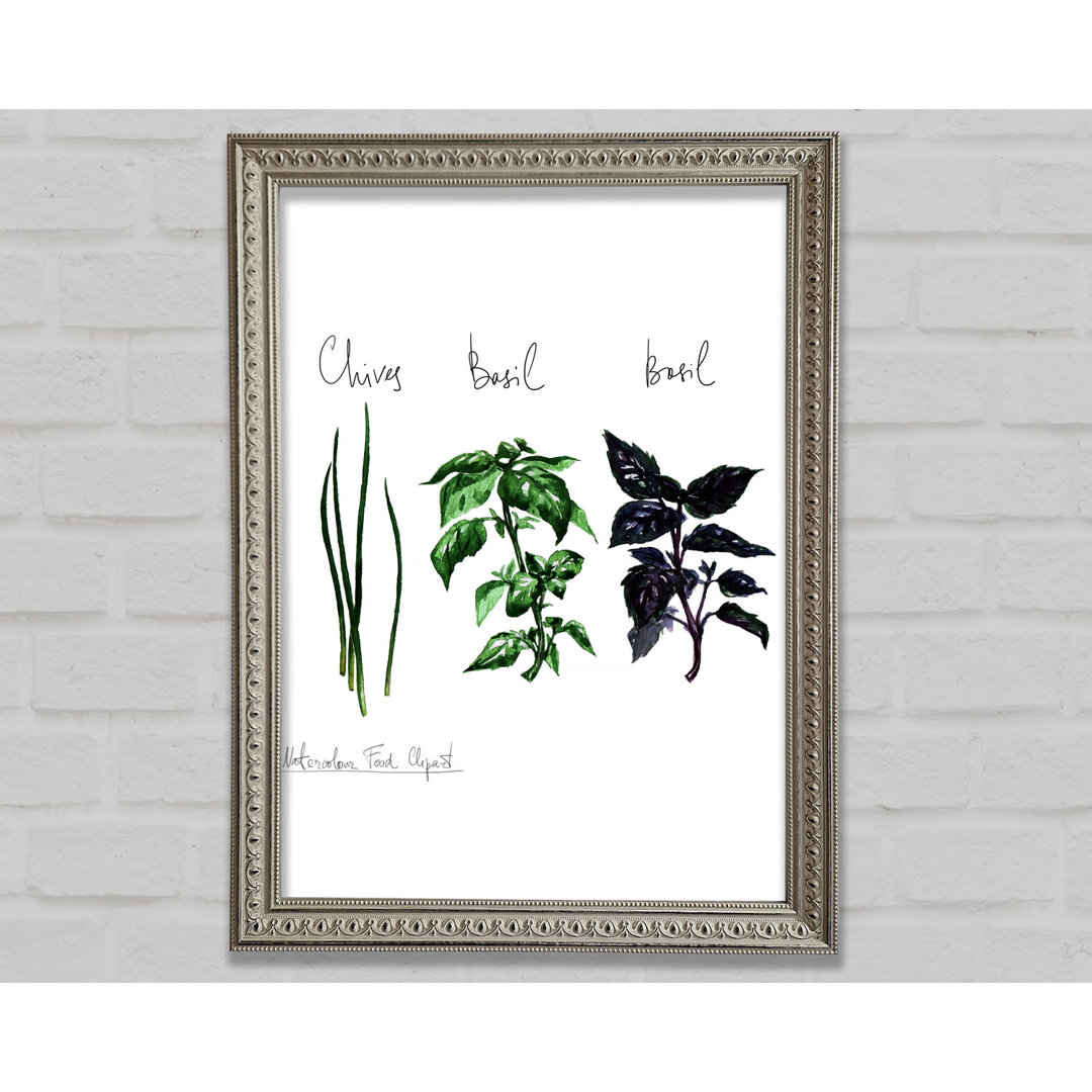 Herb Selection 4 Gerahmter Druck