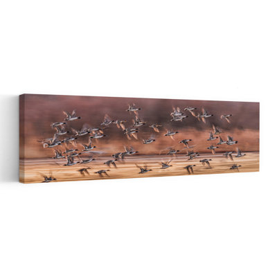 Flock Of Flying Ducks Abstract Contemporary Bird Duck Landscape Nature Wall Art