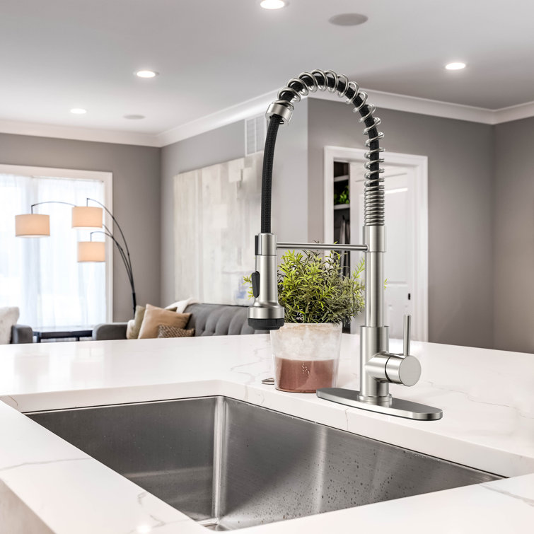 RoomTec Pull Down Kitchen Faucet