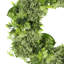 Seafoam Green Hydrangea with Budding Flower Wreath