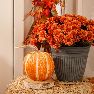 Medium Green & Orange Speckled Pumpkin Thanksgiving Harvest Fall Home Décor