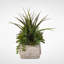 Faux Succulent in Planter