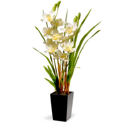 Fleurs d'orchidées blanches 31 "