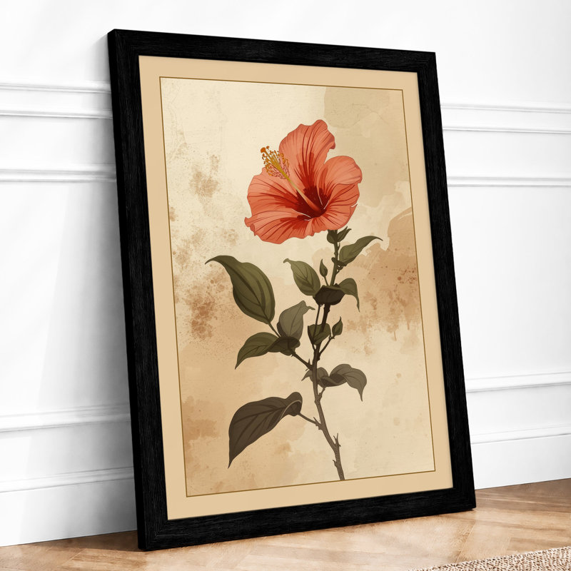 Hibiscus Study Botanical - Framed Print, Black, A4 - 29.7 x 21.0 cm