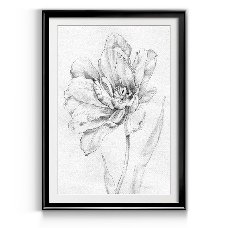 Croquis de tulipes - cadre photo, impression sur papier, Noir, H 18,5 po x l 24,5 po x P 1,5 po