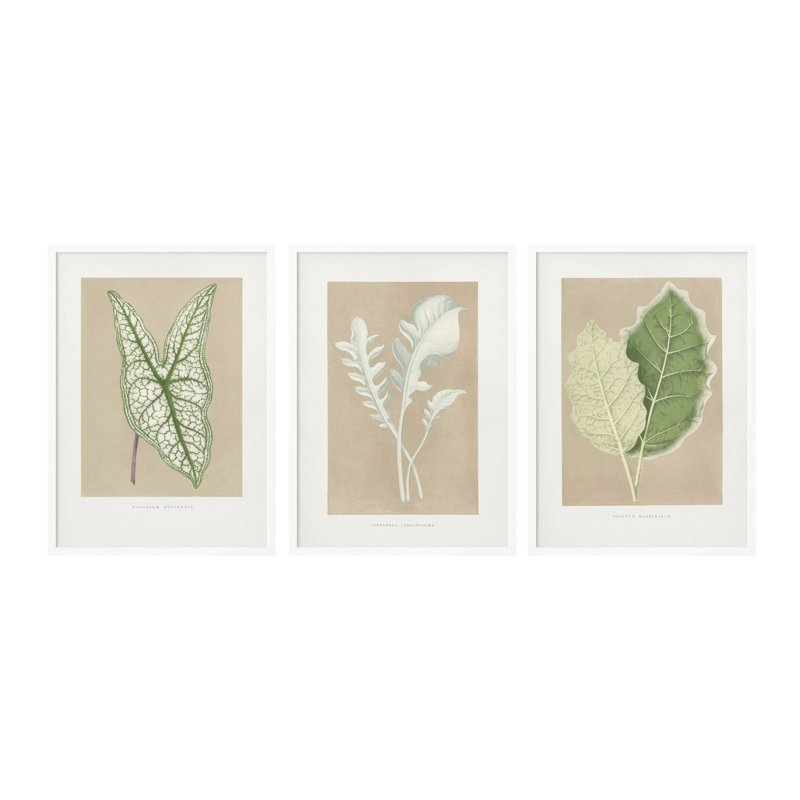 «Marginatum Leaf», ensemble de trois œuvres d'art texturées encadrées, Noir, H 24 po x l 54 po