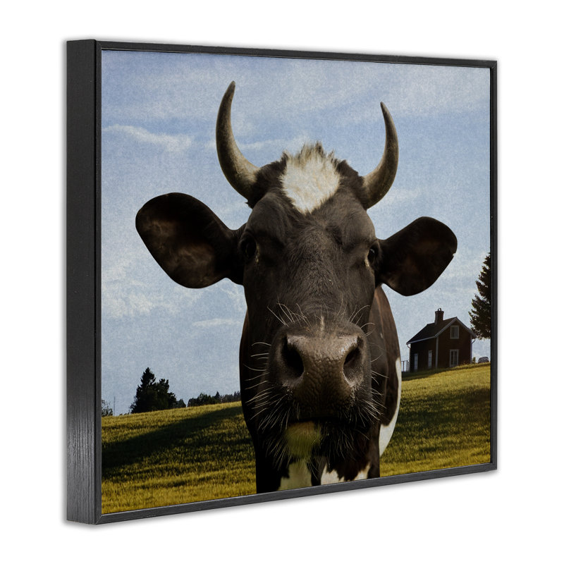 Vache de ferme avec des cornes incurvées, estampe numérique, conception de Marcus Prime, H 16 po x l 20 po
