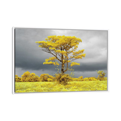 Lonely Tree On The Field #2 by Glauco Meneghelli - Floater Frame Print on Canvas