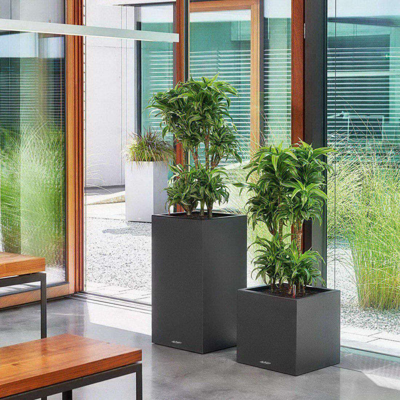 Canto Planter Box, 76cm H x 40cm W x 40cm D, Graphite Black
