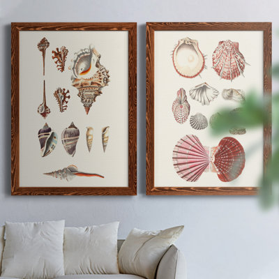 Toile encadrée Shell Collection VP Remium - prête à être accrochée