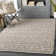 Aquiel Oriental Indoor Rug