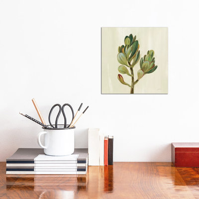 Front Yard Succulent II by Silvia Vassileva - Gallery-Wrapped Canvas Giclée on Canvas