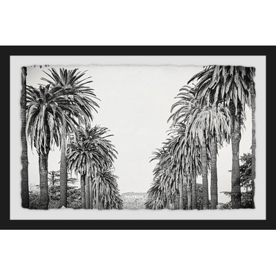 Palm Tree Avenue by Morgan Hartley - Single Picture Frame Print