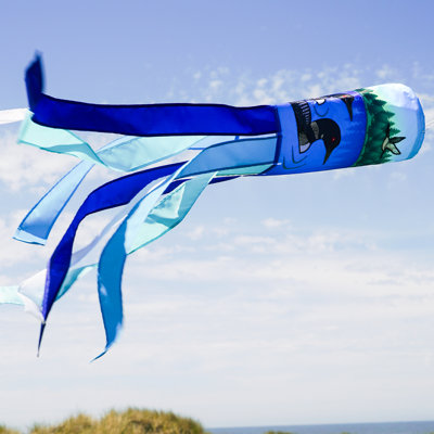 Pair of Loons 40" Inspiration Windsock