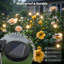 Lumières décoratives solaires à DEL pour l'extérieur, 80 lumières DEL, éclairage de jardin imperméable, allumage / arrêt automatique de l'atmosphère romantique-126539540