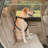 Direct to Seatbelt Tether, Orange