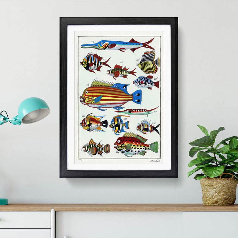 Exotic Fish Illustration - Picture Frame Painting Print, 48cm H x 36cm W x 2cm D, Black Framed