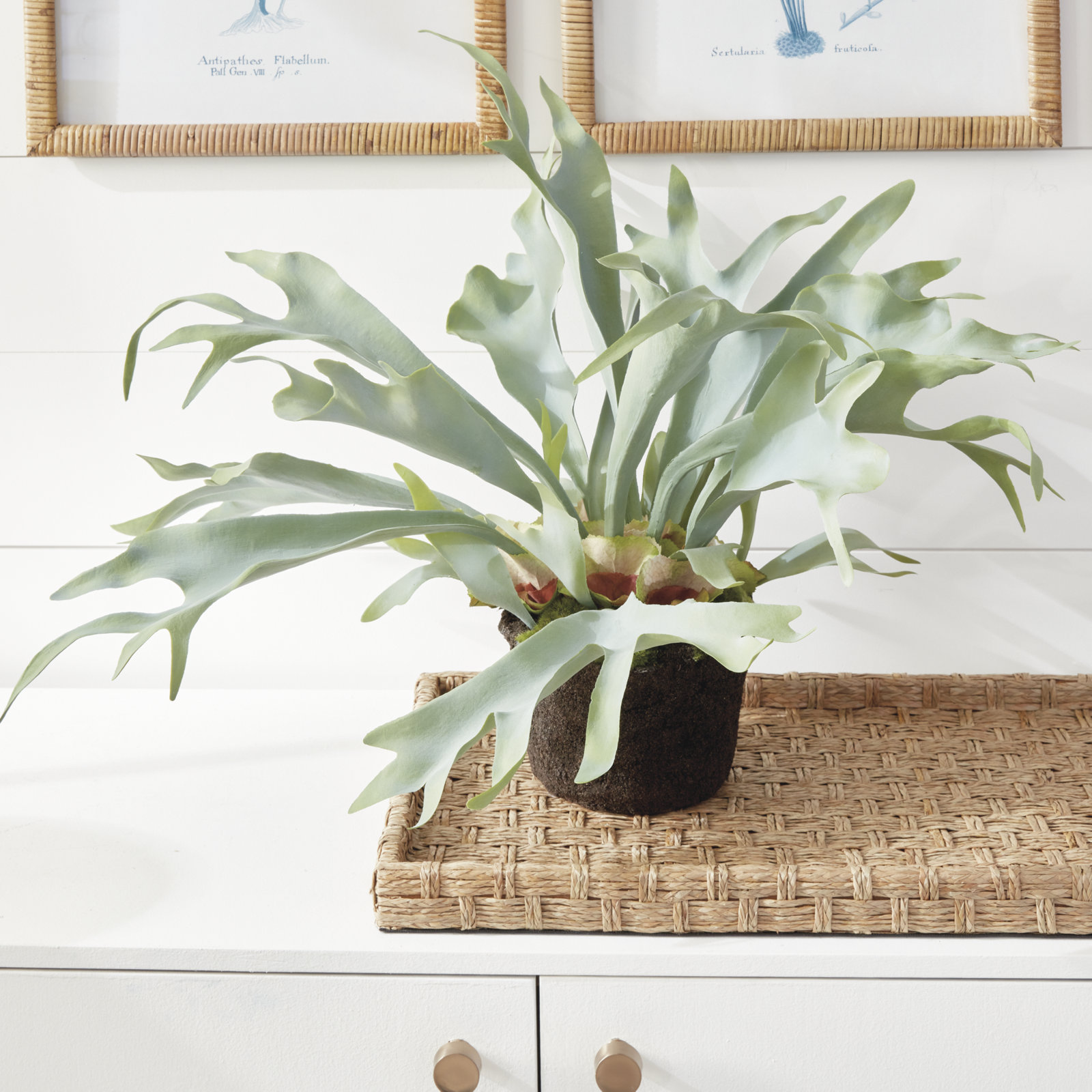 Cunha Faux Fern Plant, 21" H