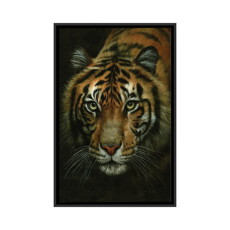Tiger Portrait by David Stribbling - Print on Canvas, 66.04 cm H x 45.72 cm W, Black Framed