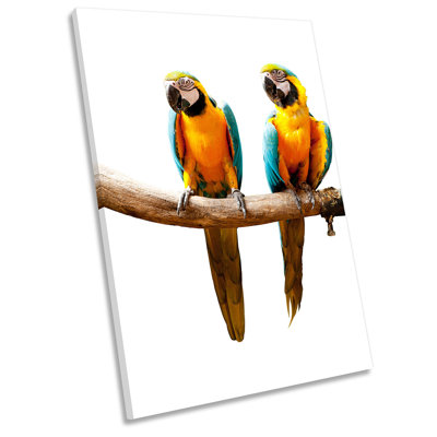 Z1539 Parrot Birds - Wrapped Canvas Print