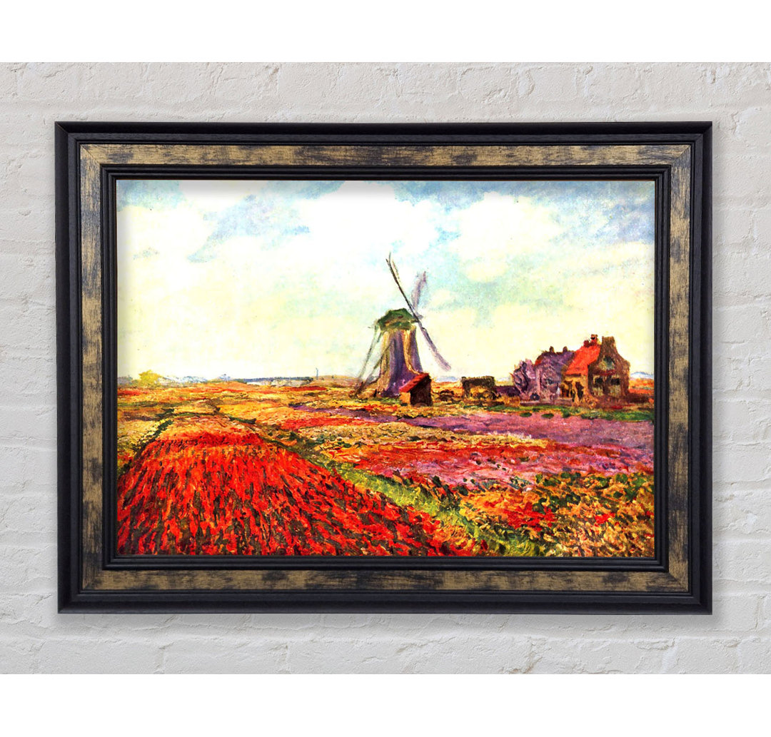 Gerahmtes Leinwandbild Tulips Of Holland von Claude Monet