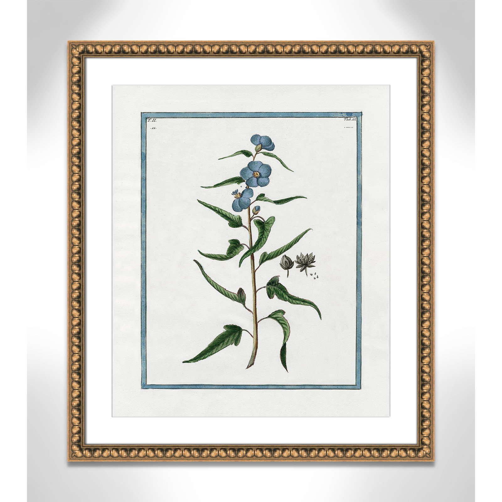 Colombe "Shabby Elegance Botanical I" Print, Gold Bead Framed, 22.5" W x 26.5" H