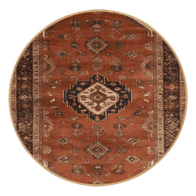 Machine Washable Persian Brown Area Rug