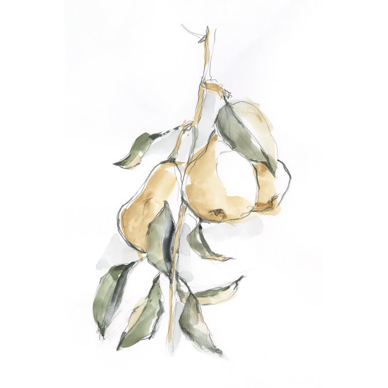 Aquarelle, fruits, contour I, H 12 po x l 8 po x P 1,25 po