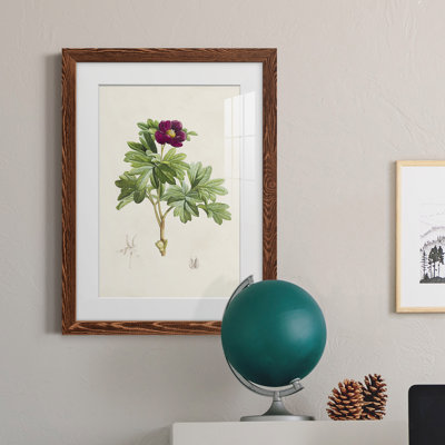 «Pretty Botanicals III», cadre photo