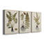Fern Botanical IV - Ensemble de 3 toiles tendues-913097441