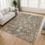 Tapis lavable à la machine intérieur / extérieur ACN2782 Global Chantille-1459905955-1459905958