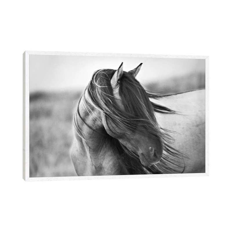 Tony Stromberg - Wrapped Canvas Print, 66.04 cm H x 45.72 cm W, White Floater Framed