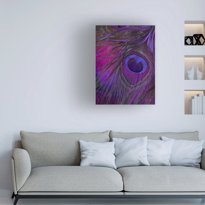 Art sur toile «bolus», Sasha, paon et bonbon iv