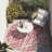 Kyrie Indoor/Outdoor Area Rug with Non-Slip Backing-630636902