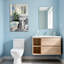 Scène de salle de bain avec lavabo et plante Bath & Laundry