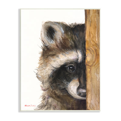 Portrait de raton laveur à la fourrure
