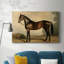 Animaux, paysage, série CXCVII-492769940