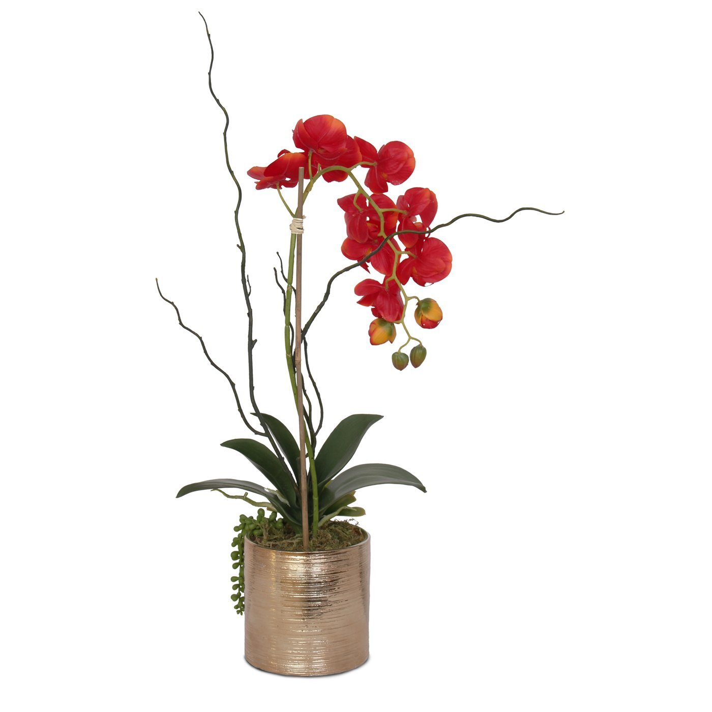 Primrue Faux Flower Arrangement Orchids Arrangement in Pot - Wayfair Canada