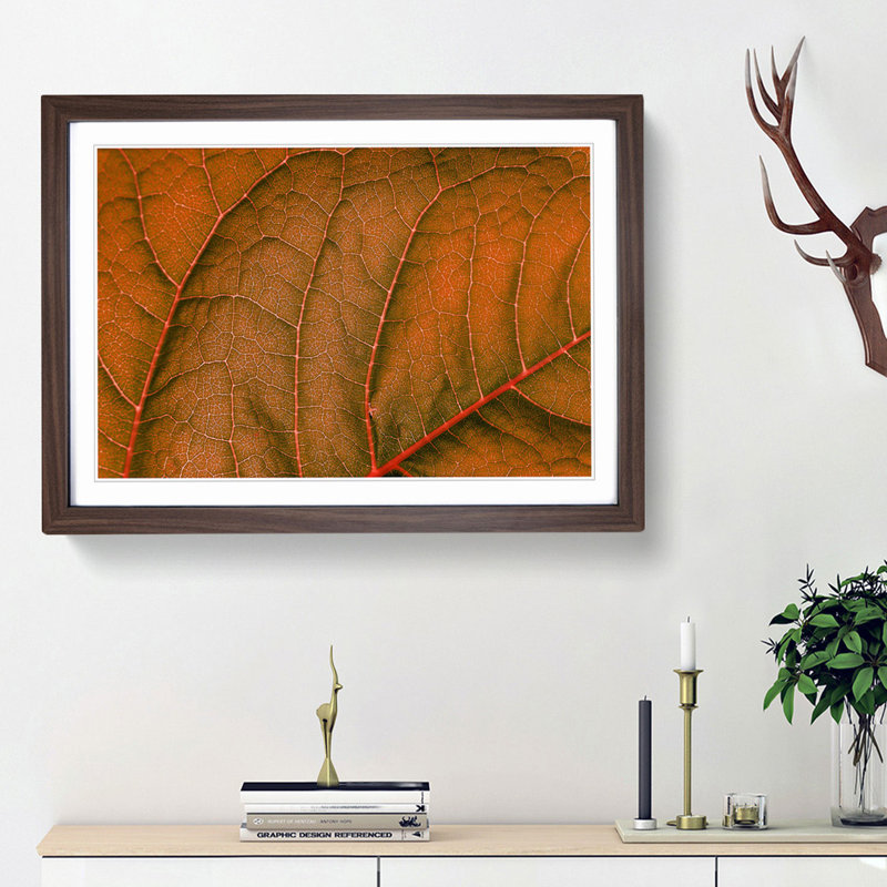 Leaf Veins - Picture Frame Photograph Print, Walnut Framed, 36cm H x 48cm W x 2cm D