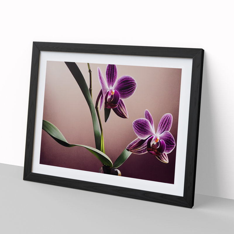 Bright Orchid Flowers - Single Picture Frame Print, Black Framed, 46cm H x 64cm W x 2cm D