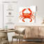 Joli crabe rouge Brampt