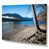 Wrapped Canvas